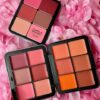 Blush1 carla secret 12 Colours Cream Blush Palette