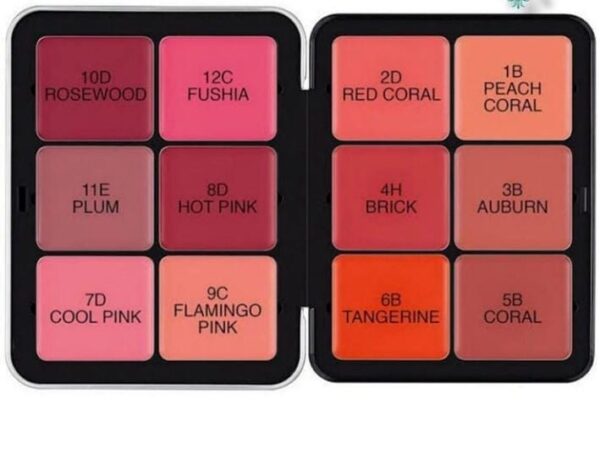 Blush2 carla secret 12 Colours Cream Blush Palette