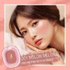 Pink Flash cheek n chic Blush