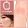 Pink Flash cheek n chic Blush