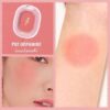 Pink Flash cheek n chic Blush