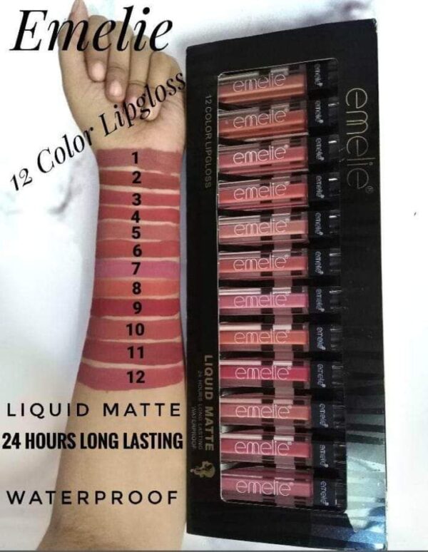 Emelie 24 Hrs Long Lasting Liquid Matte Lip Gloss Set A