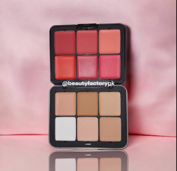 CARLA SECRET 12 COLOR CREAM CONCEALER AND BLUSH PALETTE
