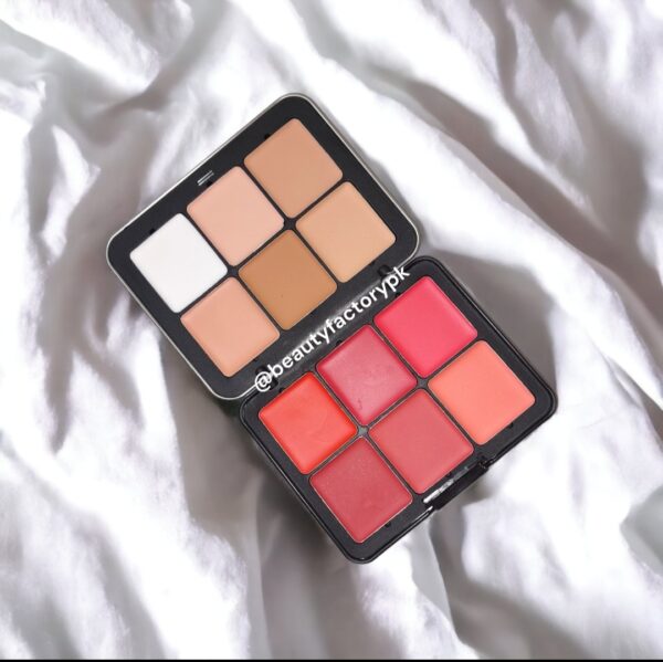 CARLA SECRET 12 COLOR CREAM CONCEALER AND BLUSH PALETTE