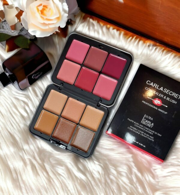 CARLA SECRET 12COLORS CREAM BLUSH AND CONTOUR PALETTE