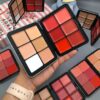 CARLA SECRET 12 COLOR CREAM CONCEALER AND BLUSH PALETTE