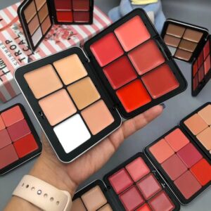 CARLA SECRET 12 COLOR CREAM CONCEALER AND BLUSH PALETTE