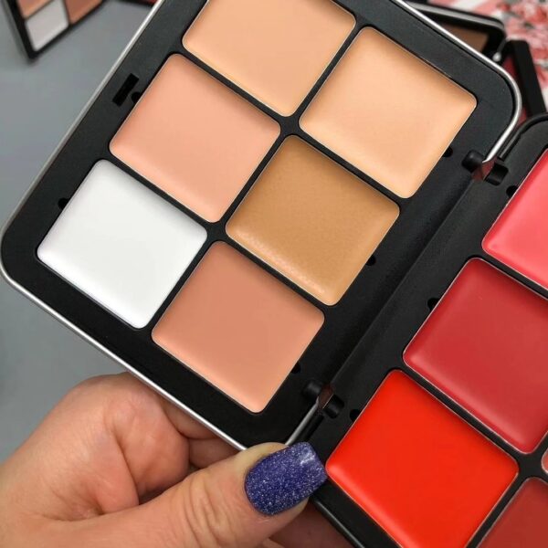 CARLA SECRET 12 COLOR CREAM CONCEALER AND BLUSH PALETTE