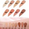 Handaiyan Cushion Concealer - 06