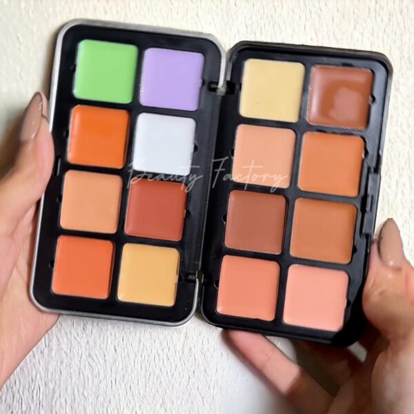 Carla Secret Camouflage HD Palette