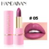 Lipstick05 Handaiyan Matte Bullet Lipstick # 05