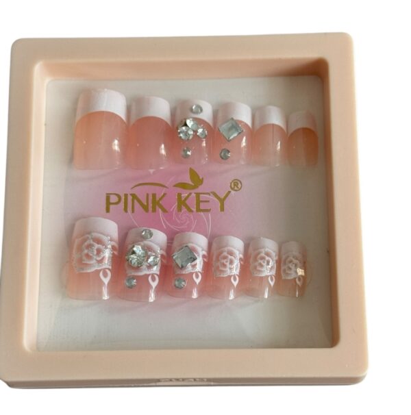 12 pc nails set Fancy French Tips