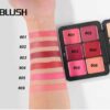 Handaiyan All in One Palette
