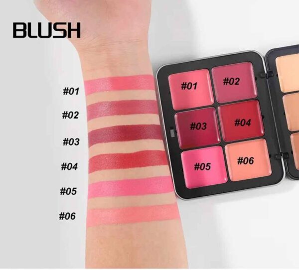 Handaiyan All in One Palette
